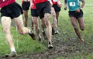 cross départemental benjamins U12