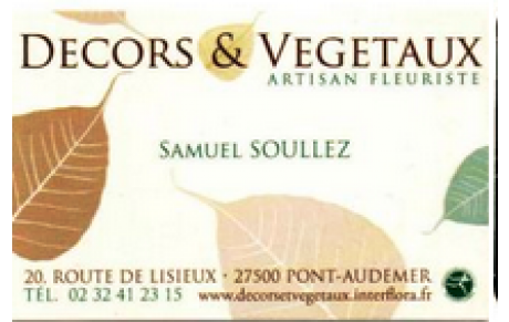 DECORS ET VEGETAUX
